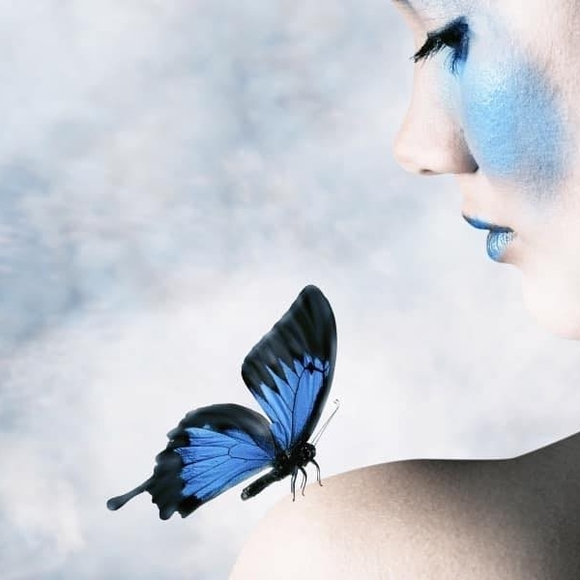 Meet your Posher, Rosa - Picture 1 of 1